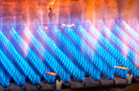 Graiselound gas fired boilers